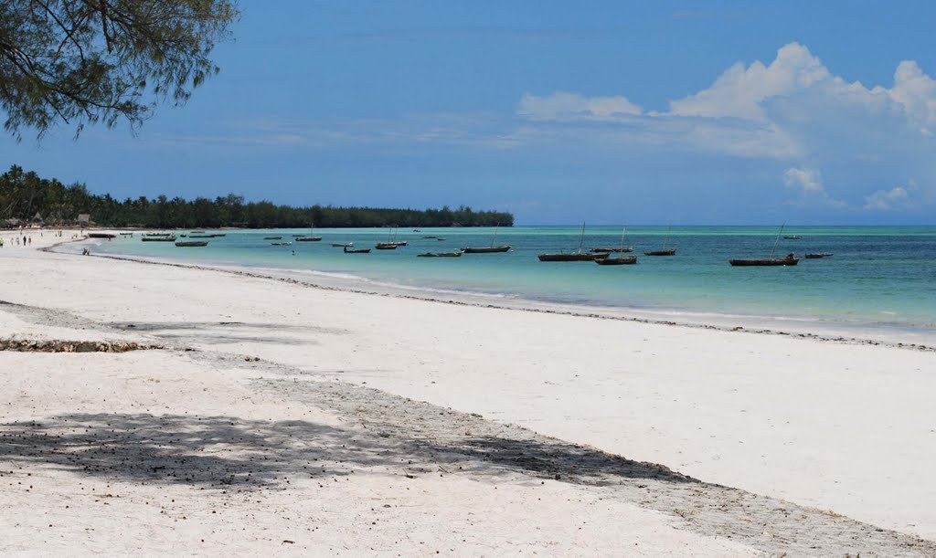 Zanzibar, spiagge,Uroa Bay