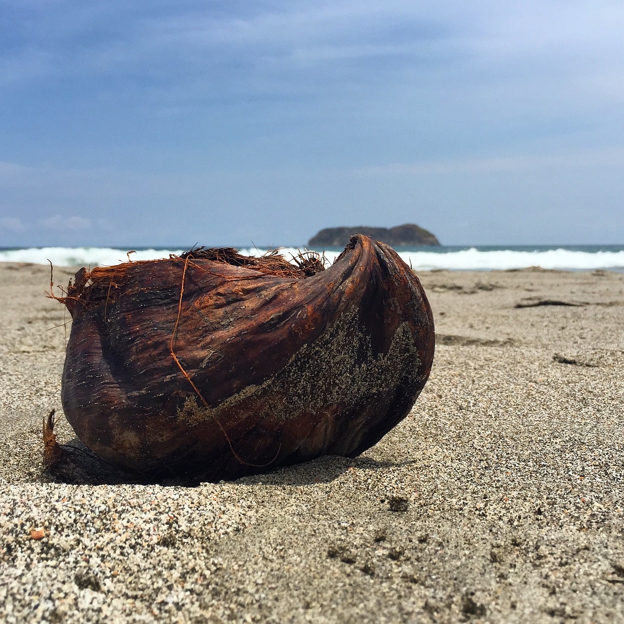 Coco Island, Costa Rica, Coconut on the Beach