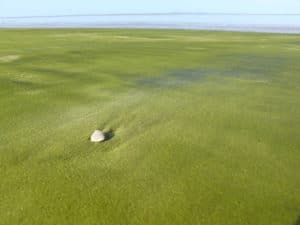 Le spiagge più strane del mondo