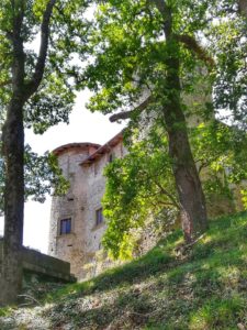 Castello di Monti di Licciana, il castello visto dal bosco