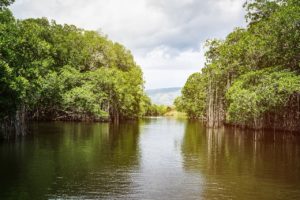 Giamaica cosa vedere, Black River