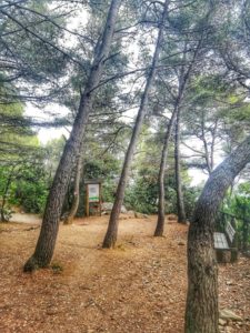 Punta Corvo, spiazzo panoramico prima della discesa