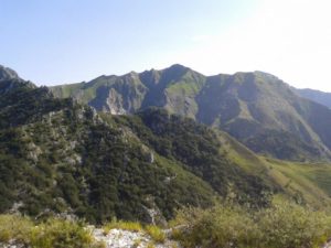 Parco Regionale delle Alpi Apuane , scorcio