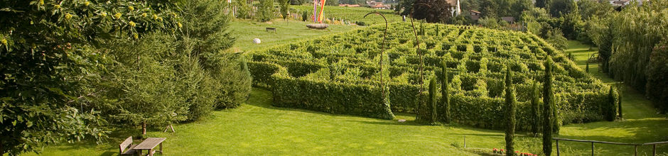 Labirinti, labirinto di Kraenzelhof.