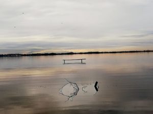 Oasi Lipu Massaciuccoli, il lago