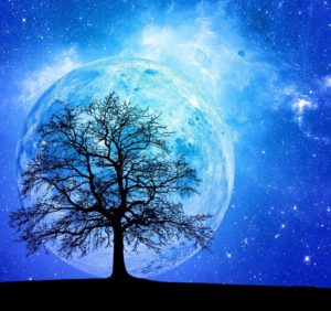 Terra ed Albero, per Earth Day giornata mondiale della terra 2020