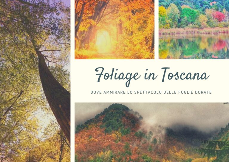 Foliage in Toscana copertina articolo