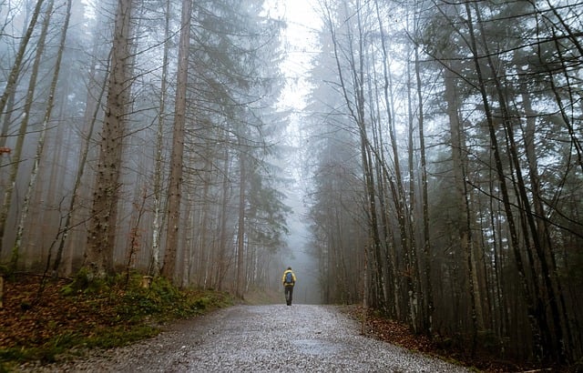 Trekking in lockdown, uomo solitario su sentiero