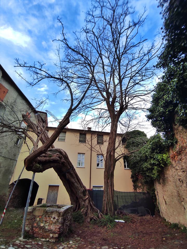 Nicola, Piazza dell'Acacia