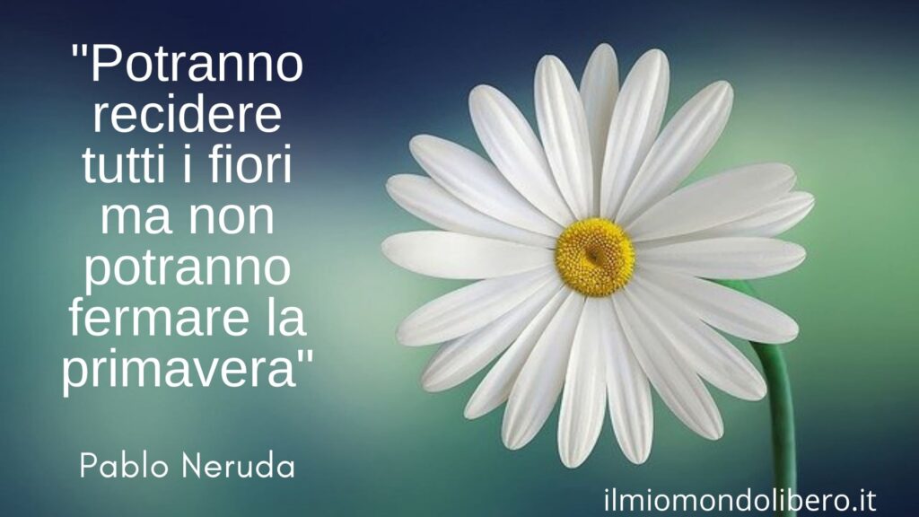 Frasi sulla primavera: le più belle frasi dedicate alla stagione della  rinascita