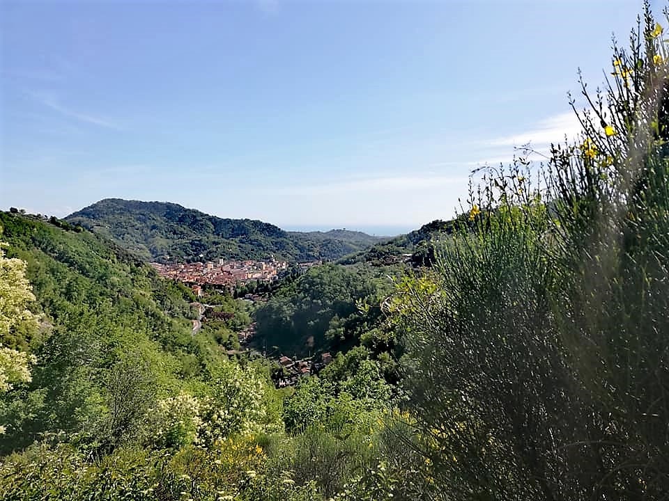 Cammino di Aronte, Carrara vista dalla Via dei Cavatori