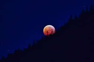 Luna piena di Giugno dietro un bosco