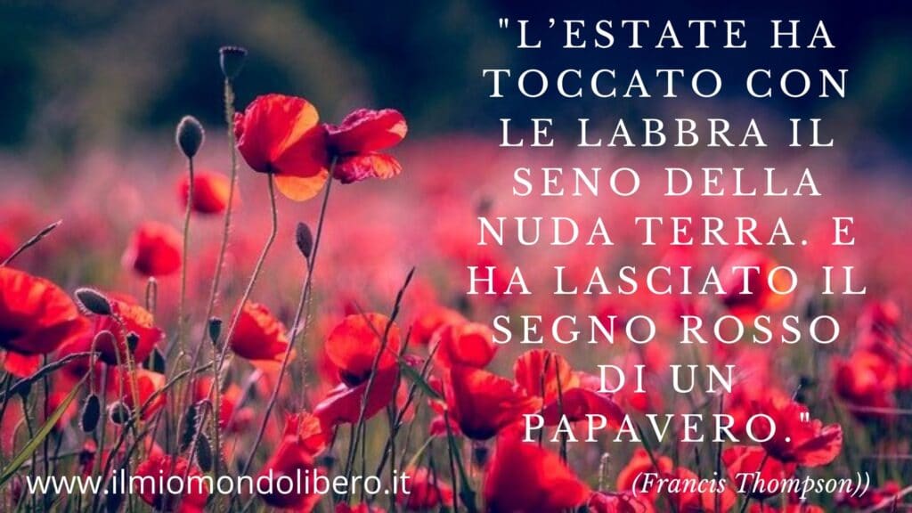 Frasi sull'estate "L’estate ha toccato con le labbra il seno della nuda terra. E ha lasciato il segno rosso di un papavero."
(Francis Thompson)