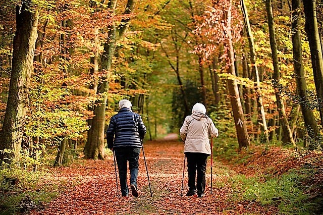 Come mantenersi giovani camminando, anziani che cammminano nel bosco