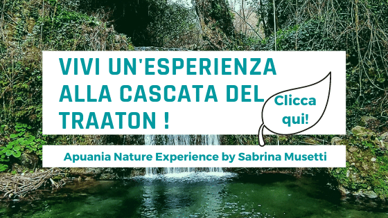 Cascata del Traaton esperienze in natura con Apuania Nature Experience di Sabrina Musetti