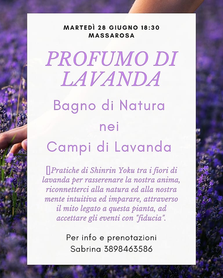 Lavanda in Toscana, bagno di natura alla Lavanda diMassarosa