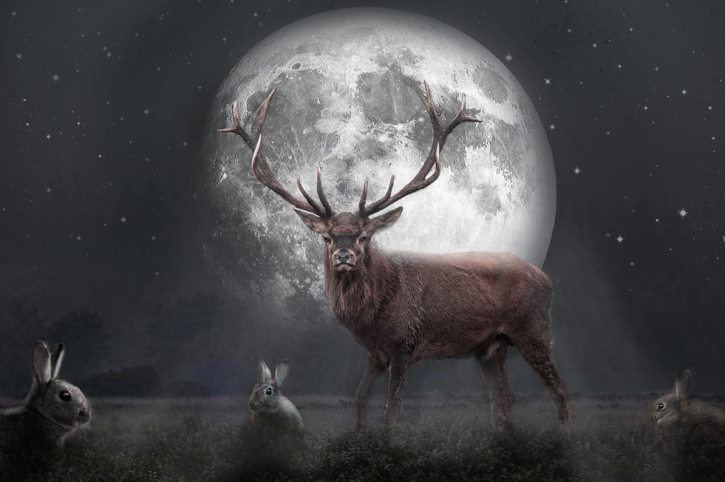 Luna piena ldi Luglio, la luna del cervo