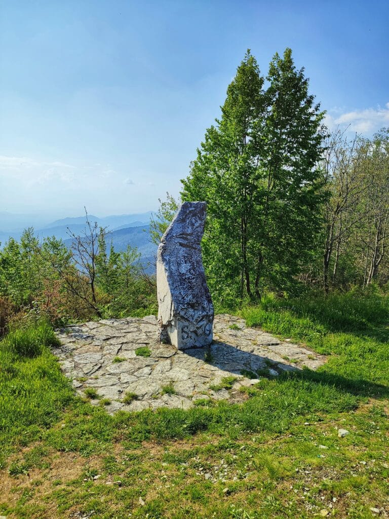 Ceppo monumentale a Sella Nord appena sotto alla cima del Monte Folgorito