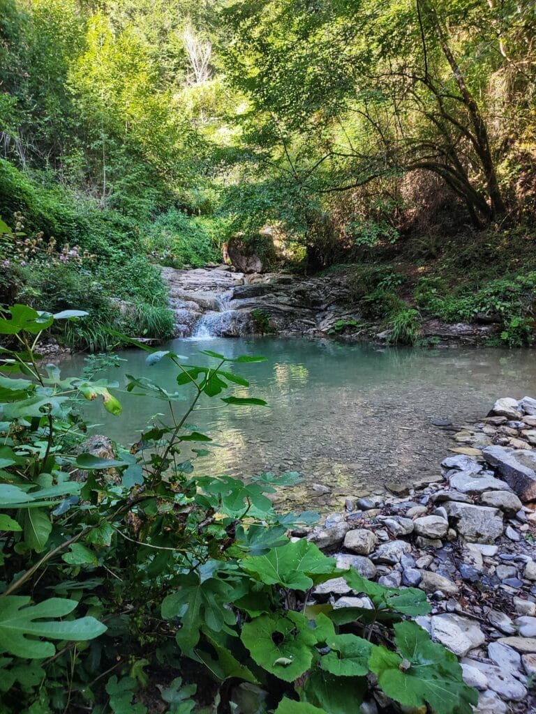 Bozzi di Magliano, una delle prime pozze