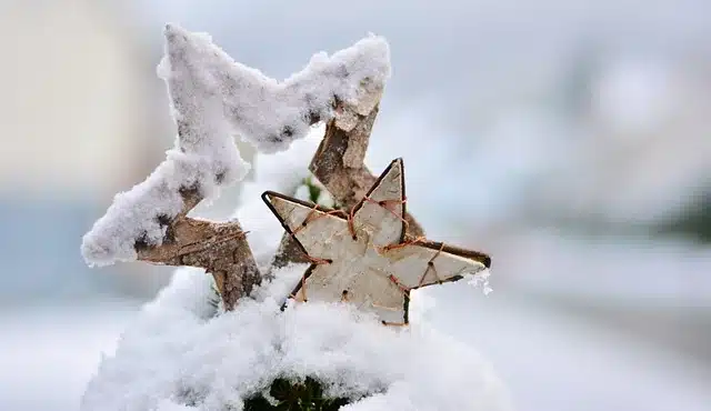 Stelle di legno nella neve, articolo Frasi su dicembre 