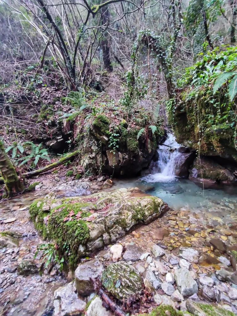 Cascata del Pendolino scorcio del sentiero