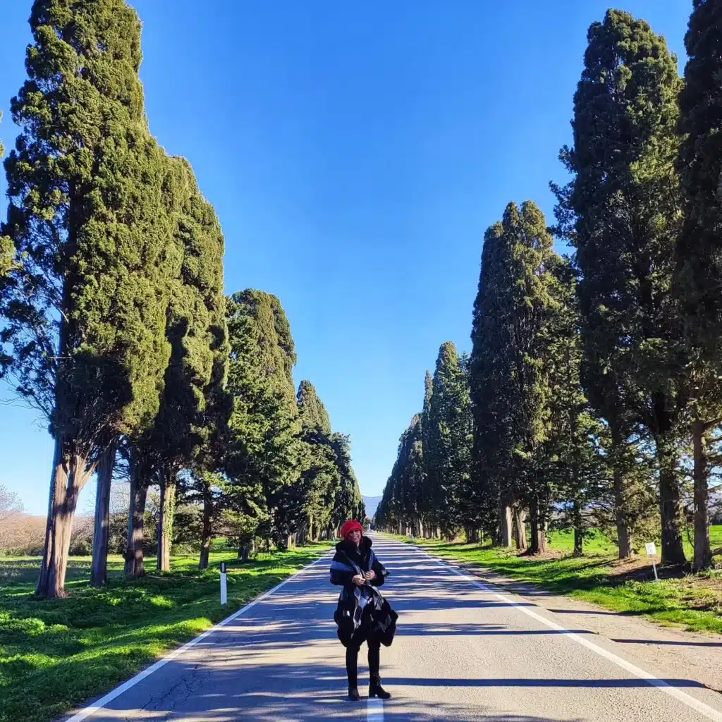 Viale dei Cipressi a Bolgheri