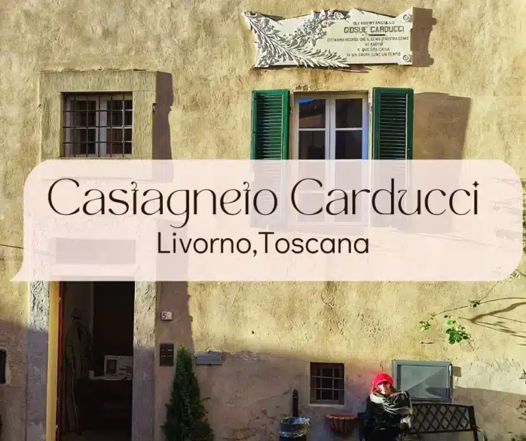 Copertina Articolo Castagneto Carducci