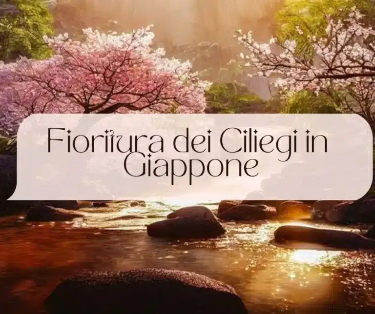 Copertina articolo con scritta " fioritura dei ciliegi in Giappone"